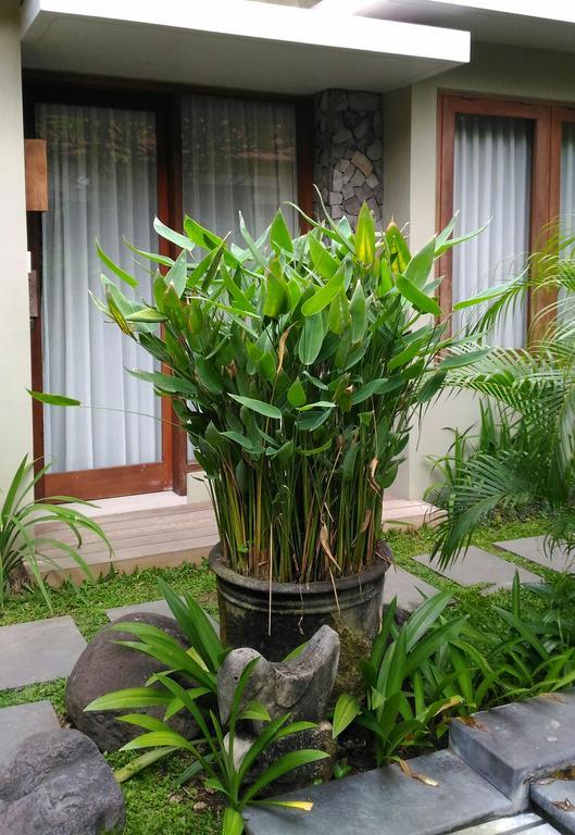 Hotel Uma Karan Kuta Lombok Exteriér fotografie